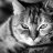 Milana_Bridges