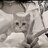 Eiwess_Cornello