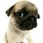 Mops Emmerson