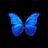 Jude_Belingham