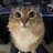 Alexey_Lime