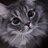 Samuel_Moore