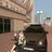Dima_Shulgyn